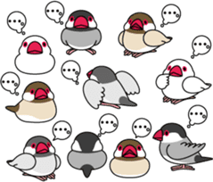 Java sparrow "Bun-cho" sticker #2258398
