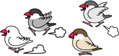Java sparrow "Bun-cho" sticker #2258399