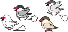 Java sparrow "Bun-cho" sticker #2258399