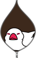 Java sparrow "Bun-cho" sticker #2258405