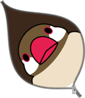 Java sparrow "Bun-cho" sticker #2258406