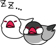 Java sparrow "Bun-cho" sticker #2258411