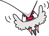 Java sparrow "Bun-cho" sticker #2258415