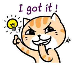 Dull Cat feeling English edition sticker #2264600