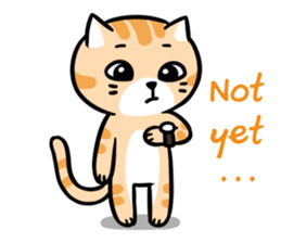 Dull Cat feeling English edition sticker #2264612