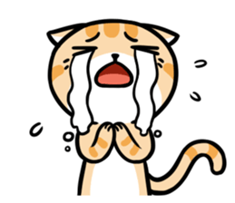 Dull Cat feeling English edition sticker #2264619