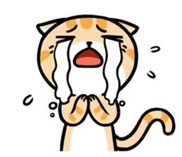 Dull Cat feeling English edition sticker #2264619