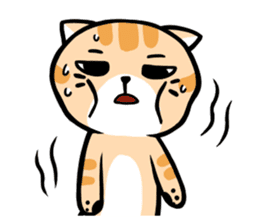Dull Cat feeling English edition sticker #2264627