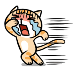 Dull Cat feeling English edition sticker #2264629