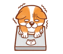 PongPong & Lemon the corgi sticker #2265010