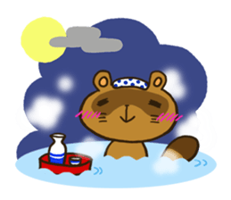 FUNDOSHI**Raccoon sticker #2265124