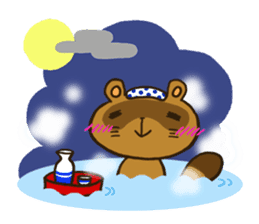 FUNDOSHI**Raccoon sticker #2265124