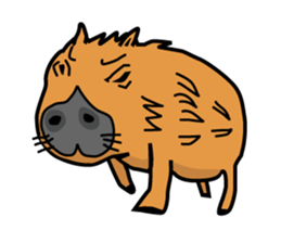 funny zoo sticker #2265280