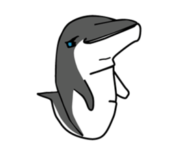 funny zoo sticker #2265285