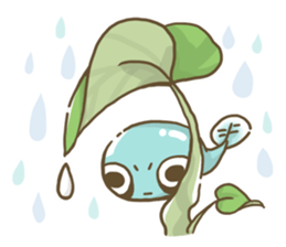 Dendrobates rare species(panda pattern) sticker #2266517