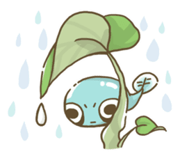 Dendrobates rare species(panda pattern) sticker #2266517