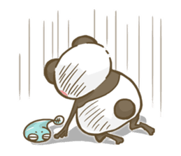 Dendrobates rare species(panda pattern) sticker #2266531