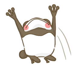 Dendrobates rare species(panda pattern) sticker #2266542