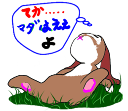 tsun tsun rabbit sticker #2267372