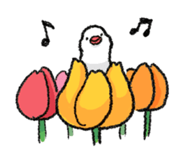 Java sparrow 's Sticker 2 -Four seasons- sticker #2267785