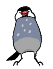Java sparrow 's Sticker 2 -Four seasons- sticker #2267786