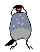Java sparrow 's Sticker 2 -Four seasons- sticker #2267786