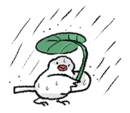 Java sparrow 's Sticker 2 -Four seasons- sticker #2267789