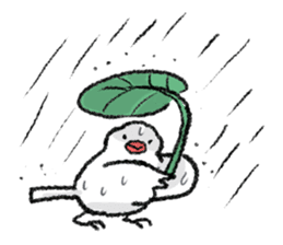 Java sparrow 's Sticker 2 -Four seasons- sticker #2267789