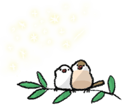 Java sparrow 's Sticker 2 -Four seasons- sticker #2267791