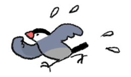 Java sparrow 's Sticker 2 -Four seasons- sticker #2267804