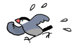 Java sparrow 's Sticker 2 -Four seasons- sticker #2267804