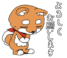 Aco & Raight sticker #2268338