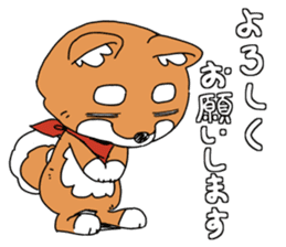 Aco & Raight sticker #2268338