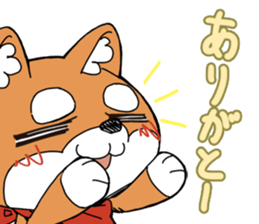 Aco & Raight sticker #2268340