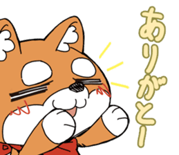 Aco & Raight sticker #2268340