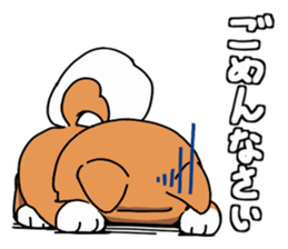 Aco & Raight sticker #2268342
