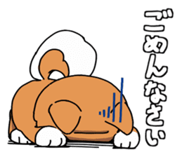 Aco & Raight sticker #2268342