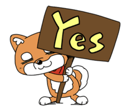 Aco & Raight sticker #2268346