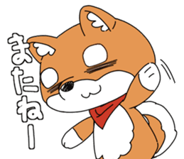 Aco & Raight sticker #2268348