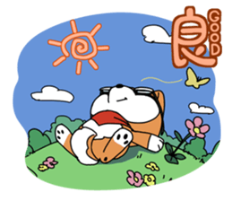 Aco & Raight sticker #2268355