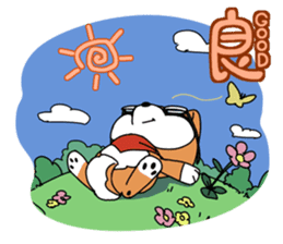 Aco & Raight sticker #2268355