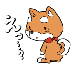 Aco & Raight sticker #2268359