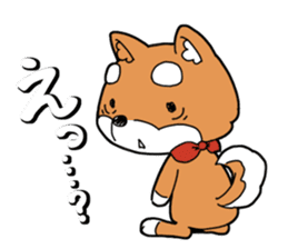 Aco & Raight sticker #2268359
