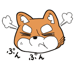 Aco & Raight sticker #2268361
