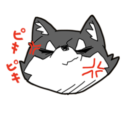 Aco & Raight sticker #2268362