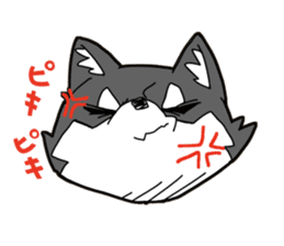 Aco & Raight sticker #2268362