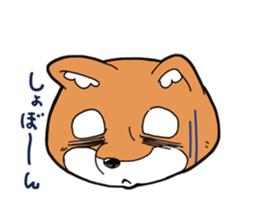 Aco & Raight sticker #2268363