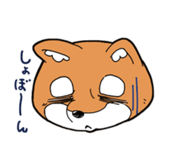 Aco & Raight sticker #2268363
