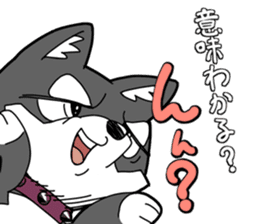Aco & Raight sticker #2268370