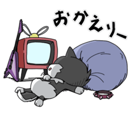 Aco & Raight sticker #2268374